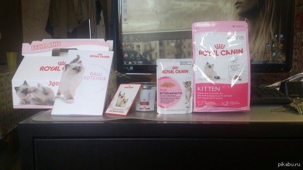 ���������� ���� ��� ����� �� Royal Canin ��� ������ � ���