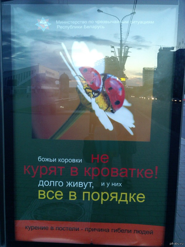 Бзззз | Пикабу