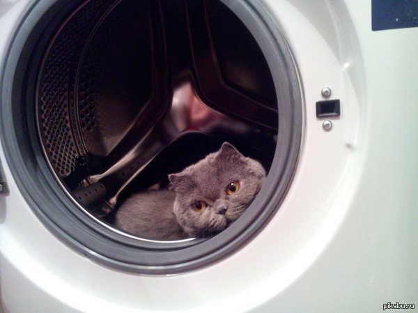 ������, ������, ��������