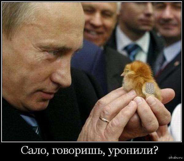 Сало уронили