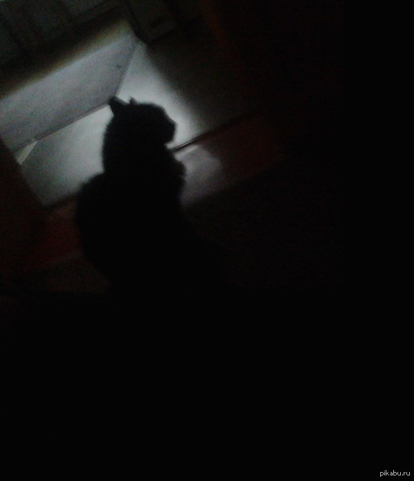 Тёмный лорд