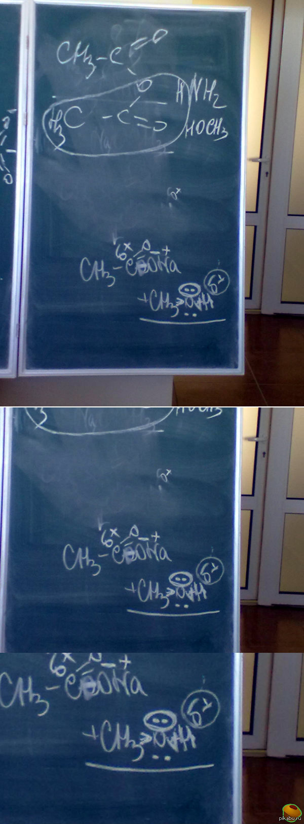 ������������ �����