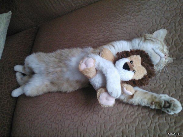 Просто хочу поделиться)