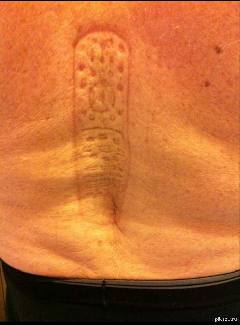 Отец не мог найти пульт от телевизора 2 часа