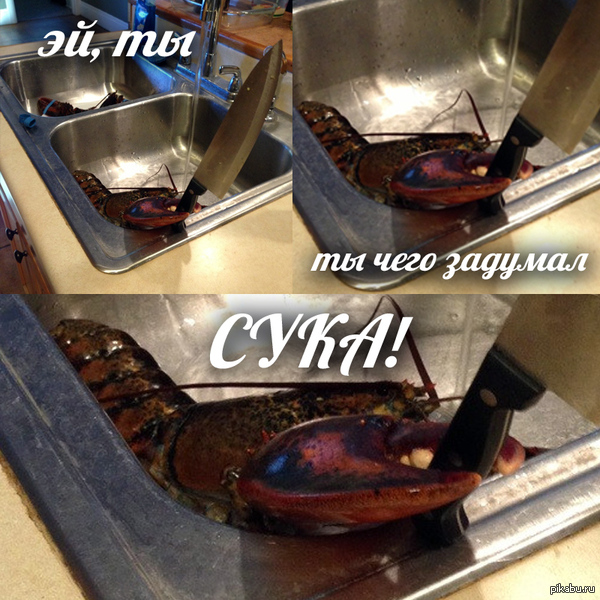 Рак - живодёр