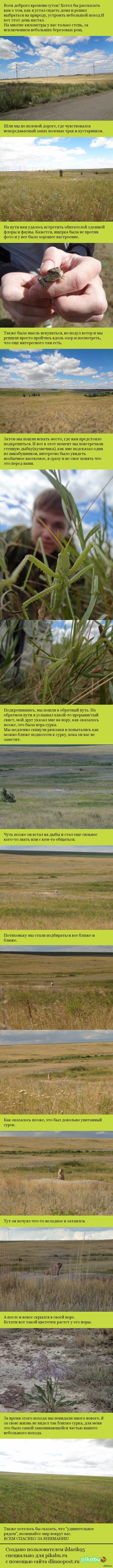 ��������� ����� �� ������� ������.