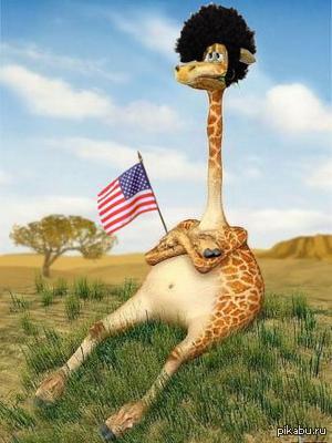 ������ �����������������.