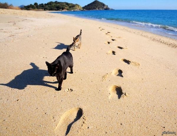 -"� �� ������� ����, ��������, ��� ���� ������� �������� ������� �����������."