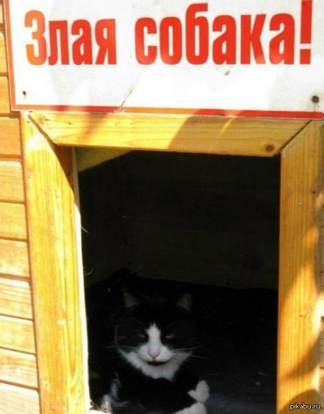 Подозрительно...