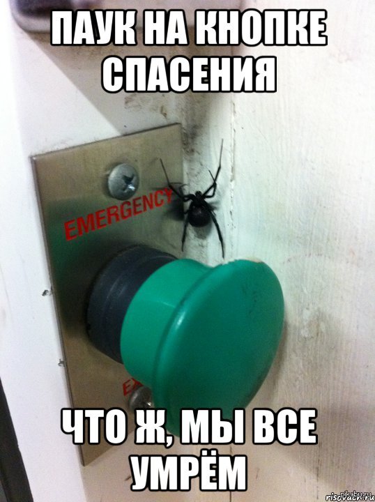 �������, ��� �����