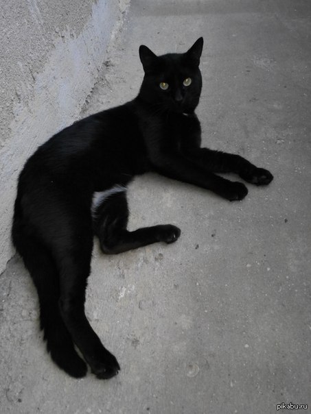 Обманчиво улегся )))