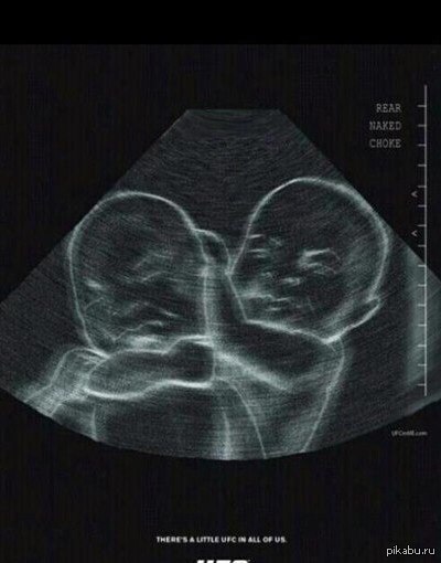 ����� ����������� ������ ����