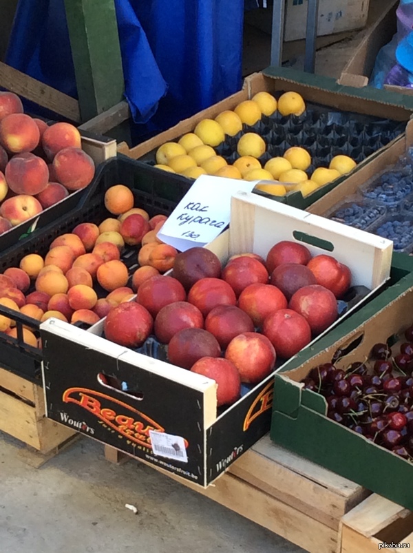 ��� ������