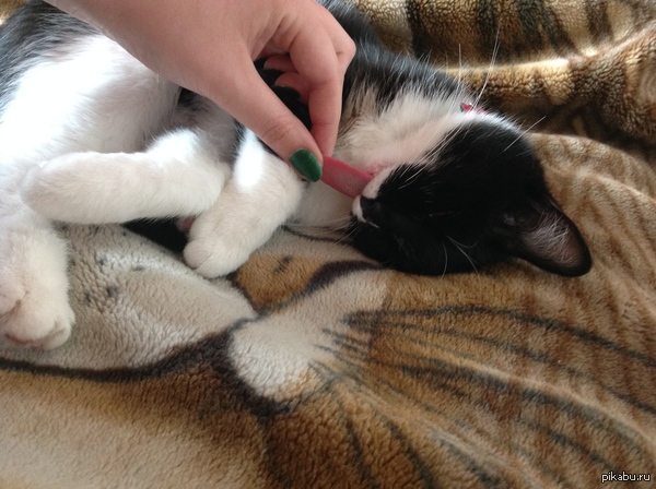 �� ����������)