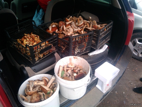 ��� ��������� �������