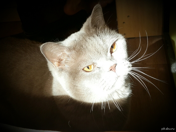 ��� ��� ������ ������� �� ����� -_-