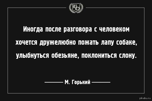 Кот скорняк маршак. Поговорить с умным человеком. Мемы про диму смешные. Иногда после разговора с человеком хочется пожать лапу собаке. Черный юмор.