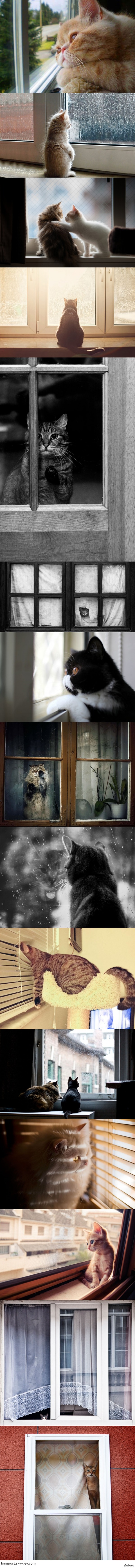 ������, ����� �� �� ������� ����� ?