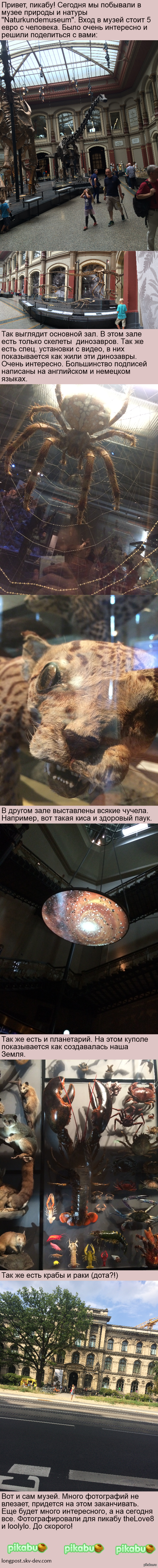 ���������� ����� ������� � ������ (������, ����� 2)