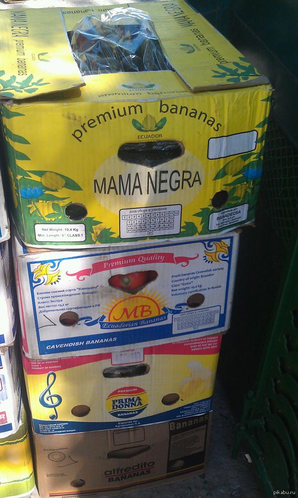 ������� ������