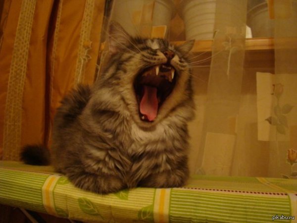 Ткнул пальцем в монитор