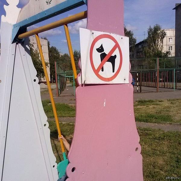 C ������ ����,���