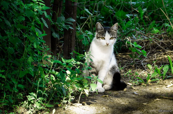 ������� ������� ������������ ��� �� :)