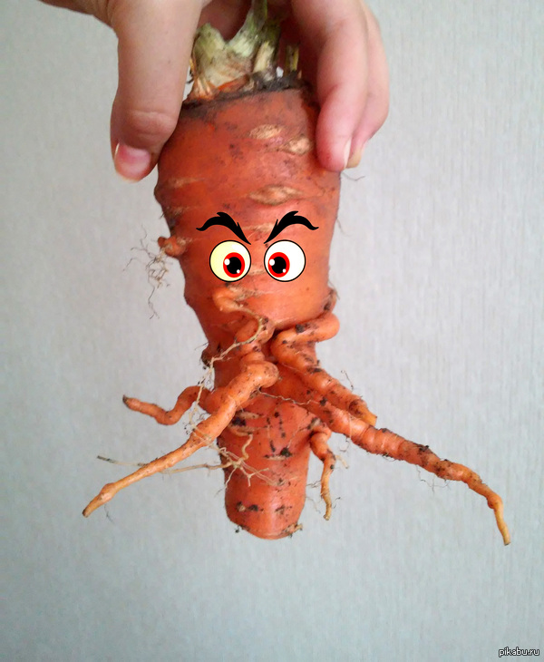 �������-������