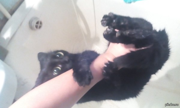 ������ ������ ������ ������� �����