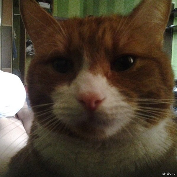 Утро начинается не с кофе