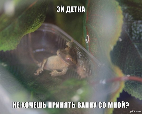 ���� �������� �������� �� ����:)