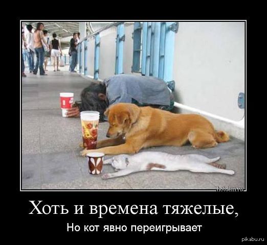 ���, �� �����������!