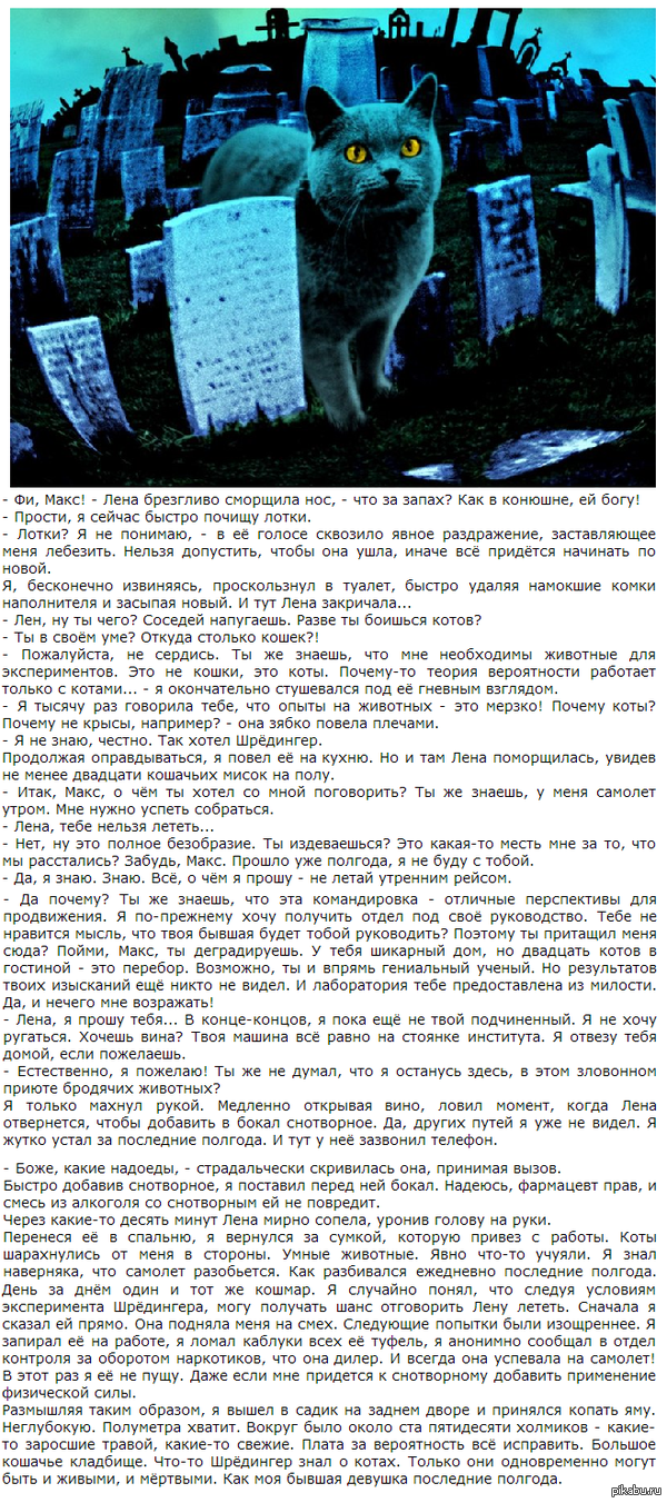 Мысленный эксперимент Шрёдингера & теории параллельных вселенных (part I)