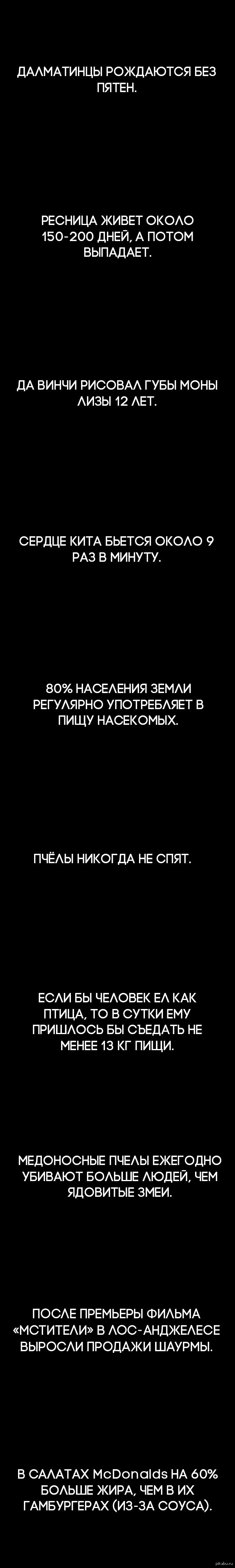 ���������� �����