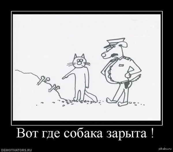 Кошка знает...