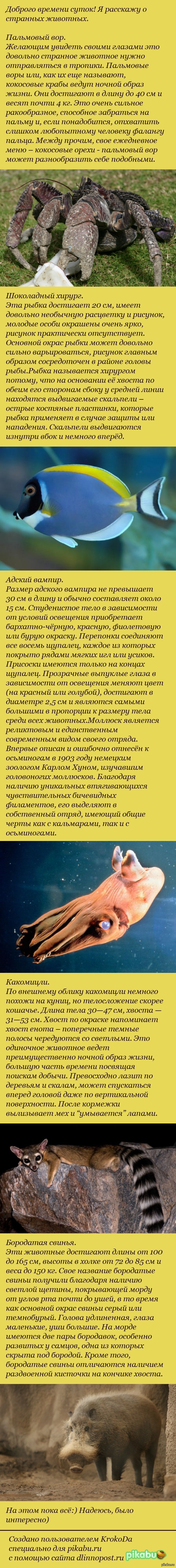 ������� � �������� :)