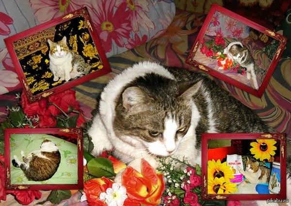 ���������� ����?! ��� �@%*^��� ��� �����?