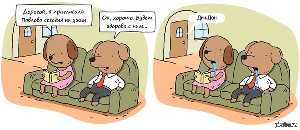 �������� �������