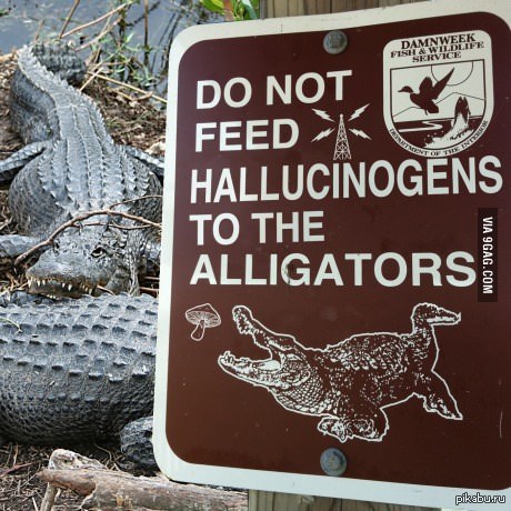 Некоторые знаки существуют потому что они практичны. Другие несут адскую историю за собой.