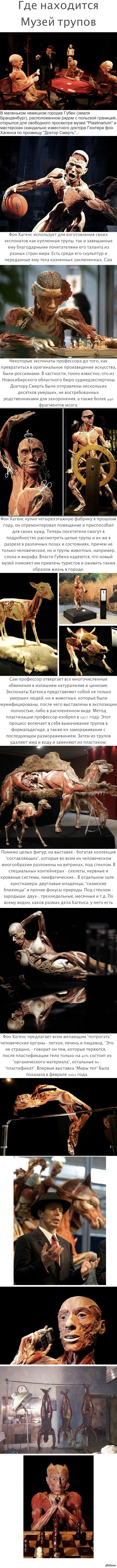 Где находится Музей трупов