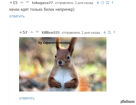 � ����� ����������� �� ������