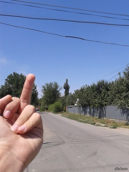 Такое вот дерево :D