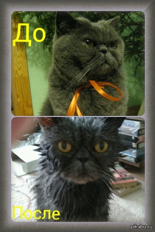 Водные процедуры