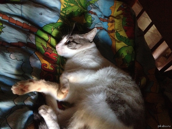 ��� ��..�.