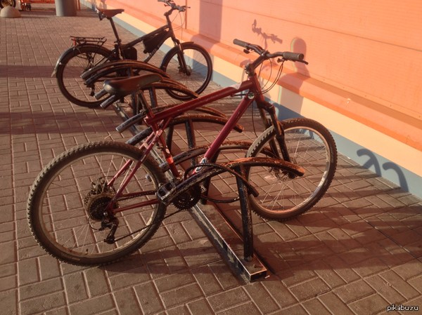 10.08.14  ��� ������ ���