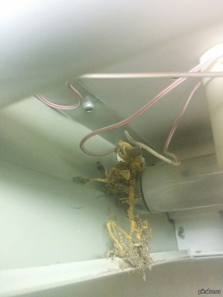 Родственник полез менять лампочку на работе, прислал фото. | Пикабу