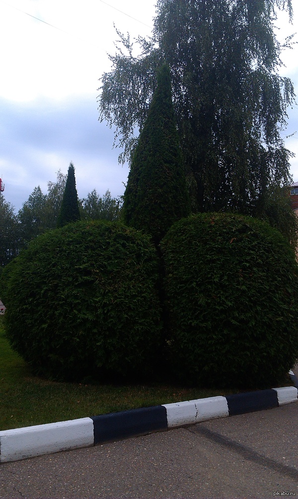 Уевый кустик