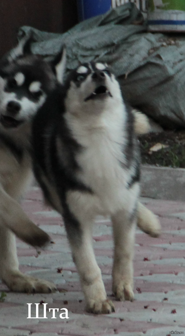 ������ �� ���� ������