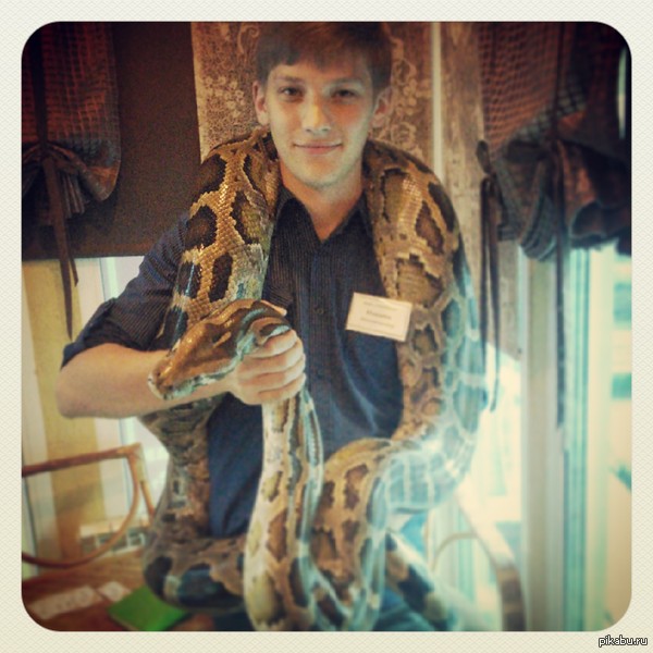 Very rarely at work is not boring - Work, My, Snake