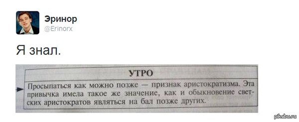 Я у мамы аристократ.